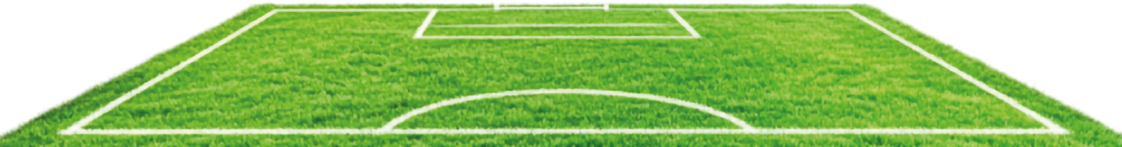 Campo
